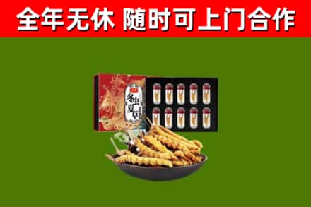 永春县回收冬虫夏草价格